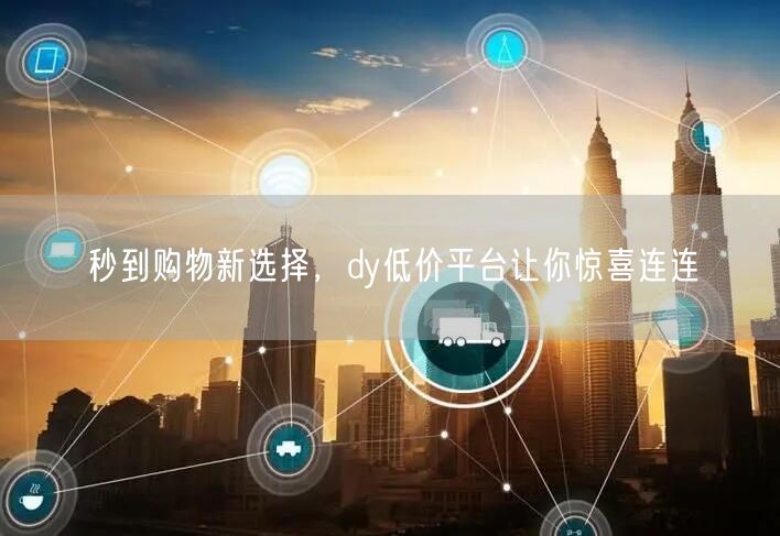 秒到购物新选择，dy低价平台让你惊喜连连