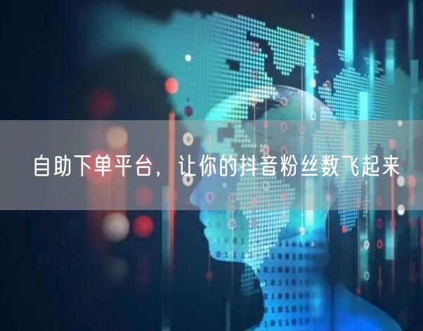 自助下单平台，让你的抖音粉丝数飞起来