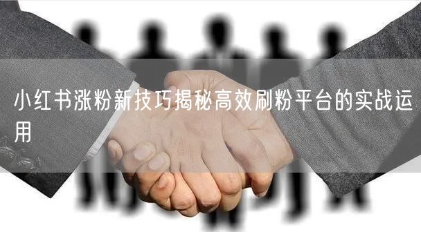 小红书涨粉新技巧揭秘高效刷粉平台的实战运用