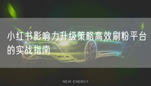 小红书影响力升级策略高效刷粉平台的实战指南