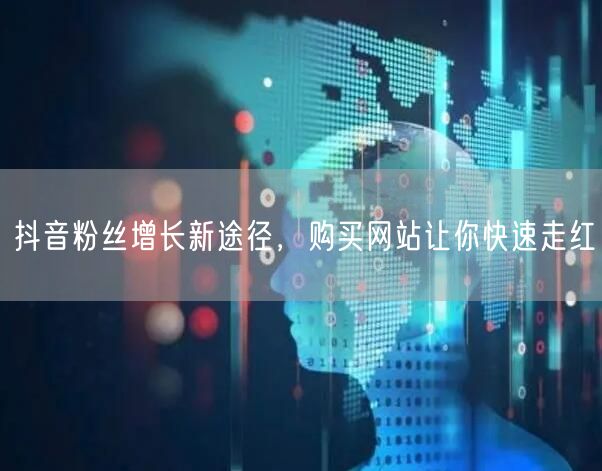 抖音粉丝增长新途径，购买网站让你快速走红